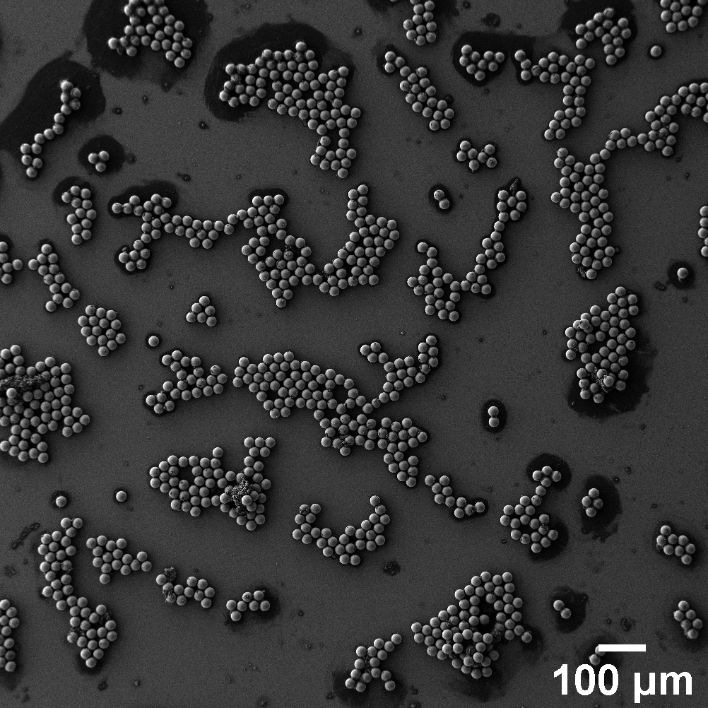 Monodisperse supraparticles