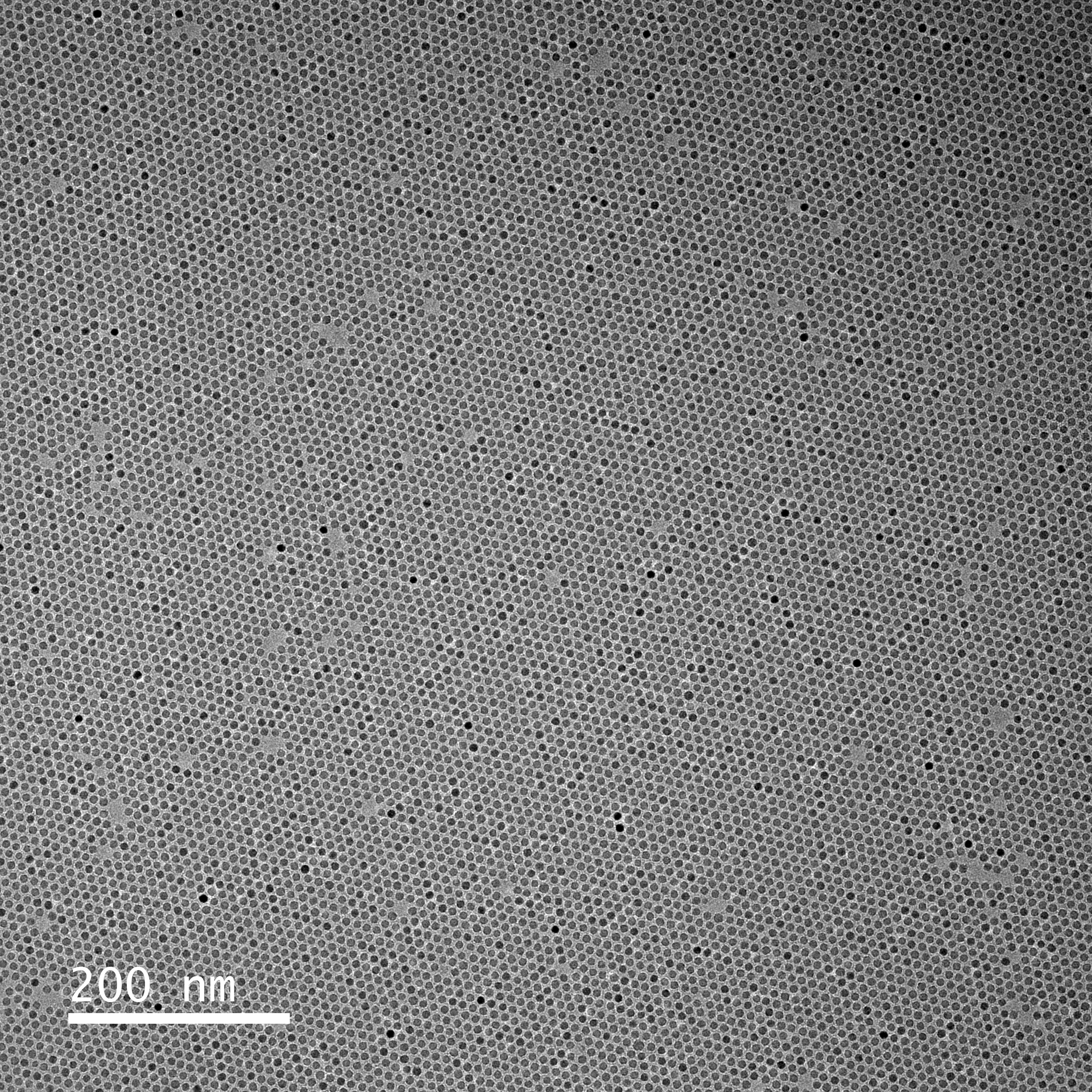 Iron oxide nanocrystal monolayer
