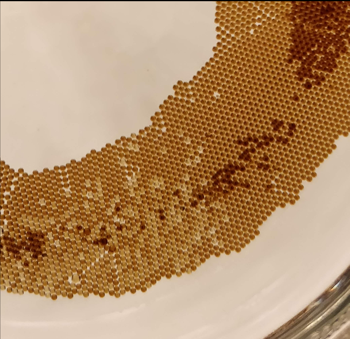 Monodisperse droplets